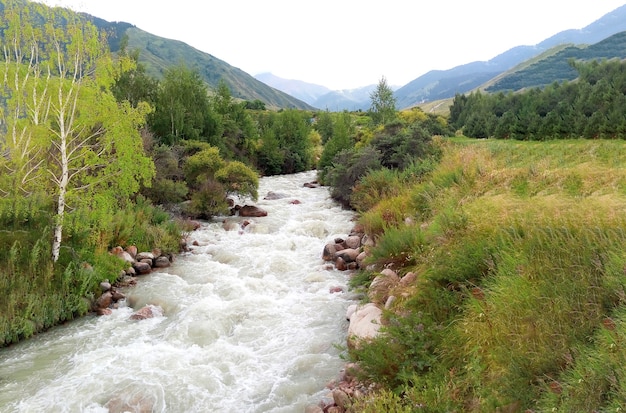 Beautiful landscape near the city of Almaty, Kazakhstan on a mountain stream in clear summer weather. Tourism and travel concept.