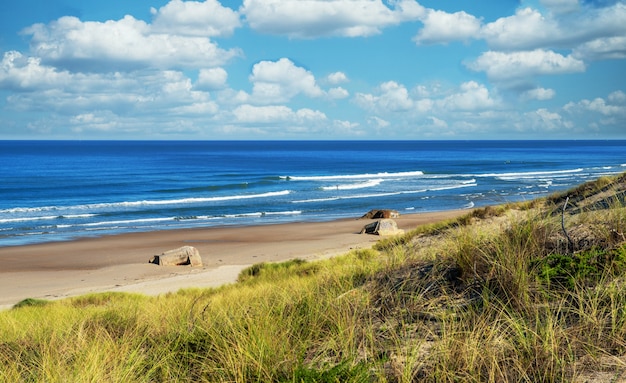 Beautiful landscape of ocean beach and waves