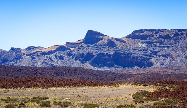 写真 テイデ国立公園の美しい風景テネリフェ島カナリア諸島スペイン