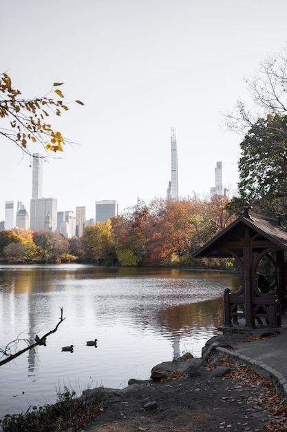 写真 公園の美しい風景