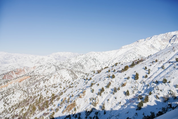 사진 tien shan 산의 아름다운 풍경