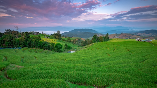 Красивый пейзаж. Рисовые поля в деревне Pong Pieng, Mae Chaem, Чиангмае, Таиланде.