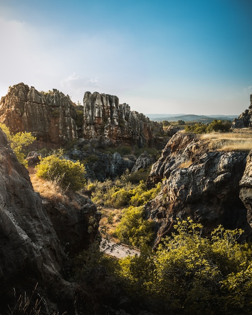 A beautiful landscape, a paradise of rocks and plants