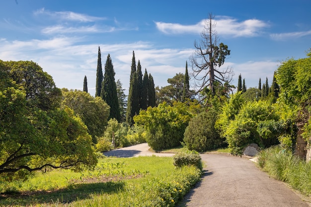 Beautiful landscape park of the Livadia Palace on the Black Sea coast. Yalta, Crimea