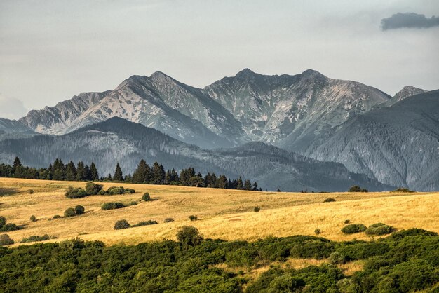 Прекрасный пейзаж в регионе Липтов и горы Западные Татры на заднем плане в Словакии