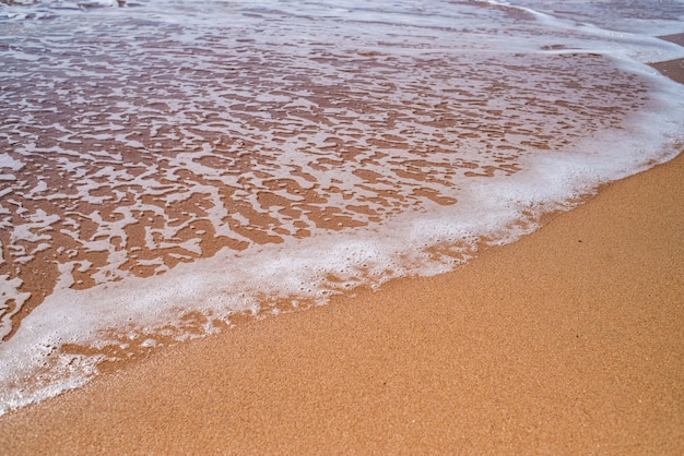 砂浜と海が織り成す美しい風景