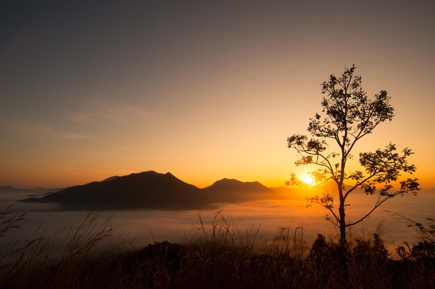 Beautiful landscape sunrise nature background Mountains and sky gold color