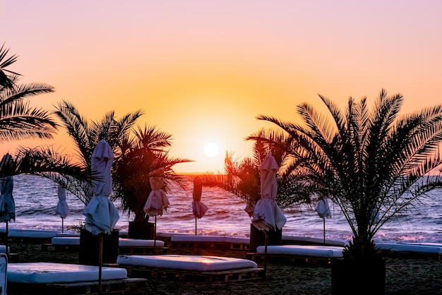 Bellissimo paesaggio all'alba palme e spiaggia sul mar nero in bulgaria