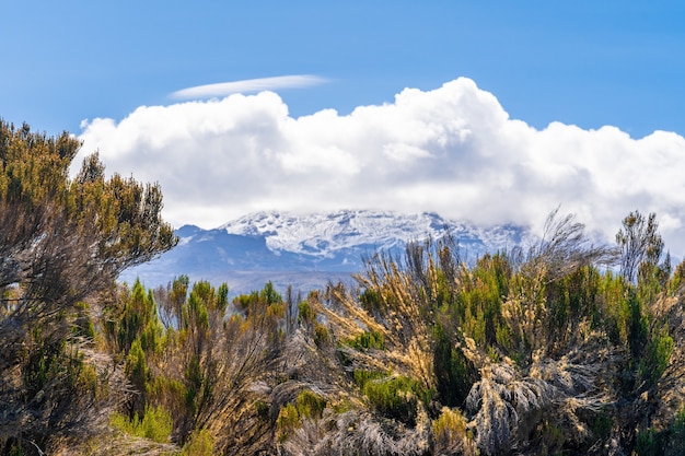 Beautiful landscape of Tanzania and Kenya from Kilimanjaro mountain. Rocks, bushes and empty volcanic terrain around the Kilimanjaro volcano.