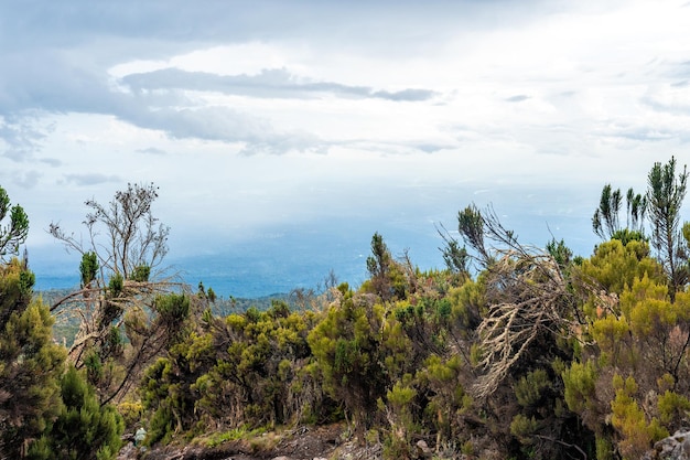 キリマンジャロ山からのタンザニアとケニアの美しい風景。キリマンジャロ火山周辺の岩、茂み、空の火山地帯。