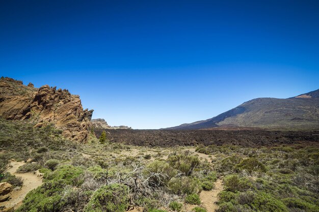 Beautiful landscape of Teide national park Tenerife Canary island Spain