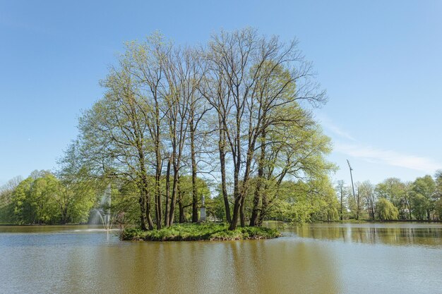 Beautiful landscape of trees and green grass