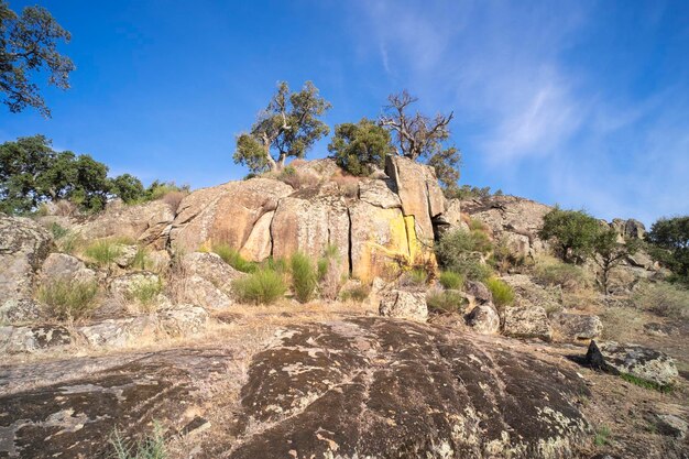 A beautiful landscape of trees growing between the huge granite rocks holm oaks and cork oaks