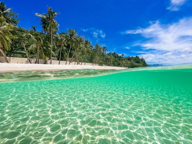 Beautiful landscape on the tropical beach of Boracay island, Philippines. Coconut trees, sea, sailboat and white sand. View of nature. The concept of summer vacation.