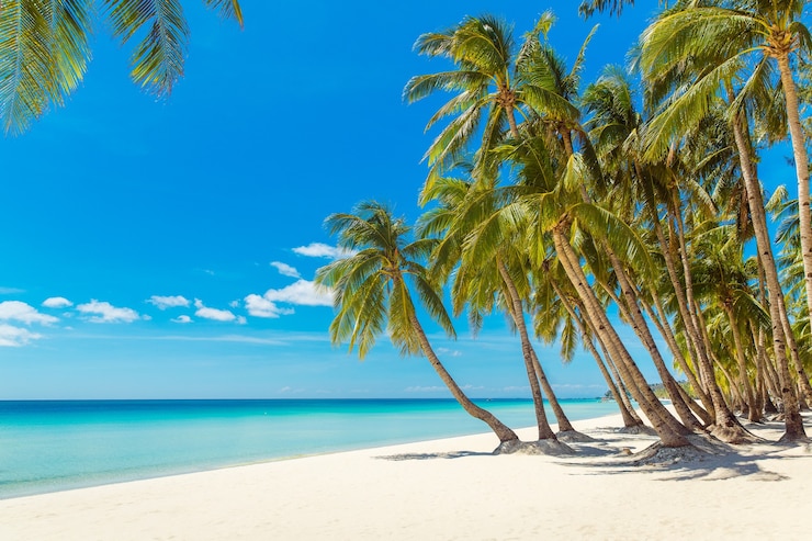 Photo beautiful landscape of tropical beach  coconut palm trees sea sailboat and white sand