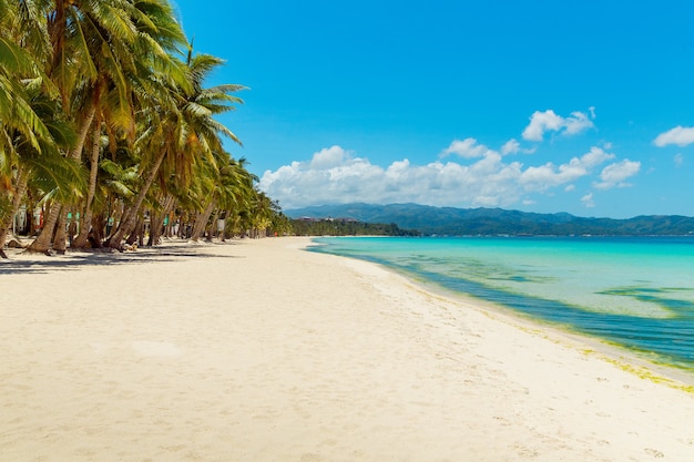 열대 해변 코코넛 야자수 바다 요트와 하얀 모래의 아름다운 풍경