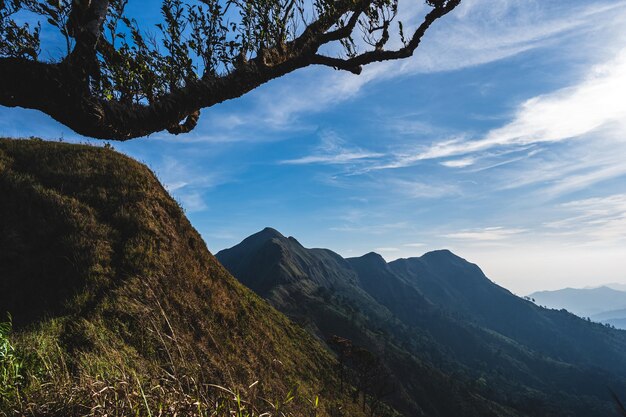 사진 아름다운 풍경과 계층의 산은 khao khao chang phuket 산에서 thong pha phum 국립 공원의 가장 높은 산은 khau chang phuek로 알려져 있습니다.