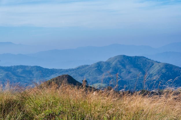 사진 아름다운 풍경과 계층의 산은 khao khao chang phuket 산에서 thong pha phum 국립 공원의 가장 높은 산은 khau chang phuek로 알려져 있습니다.