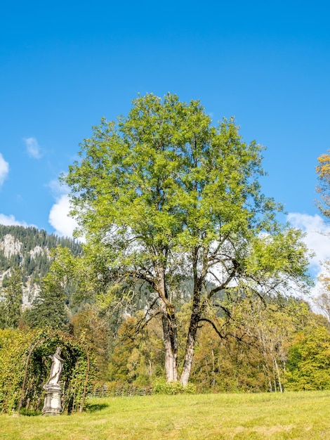 Beautiful landscape view of Germany