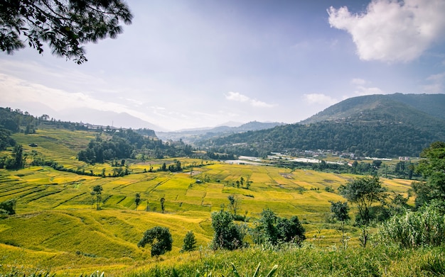 Khokana, Lalitpur, 네팔에서 논 농장의 아름 다운 풍경보기.