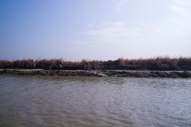 Beautiful landscape view of Padma river or Island in Bangladesh