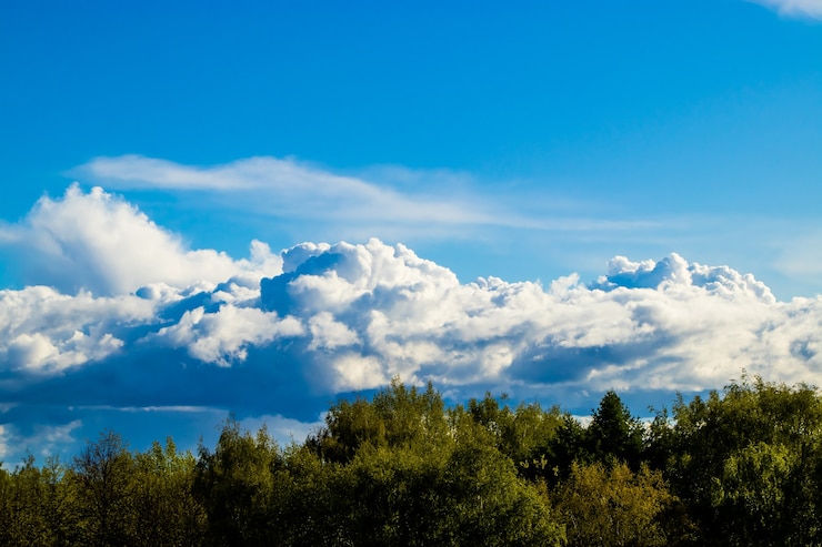 Фотография красивый пейзаж с пушистыми белыми облаками на голубом небе cloudscape над зеленым лесом