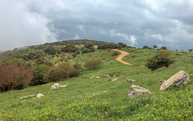 Beautiful landscape with fog and a road receding into the distance