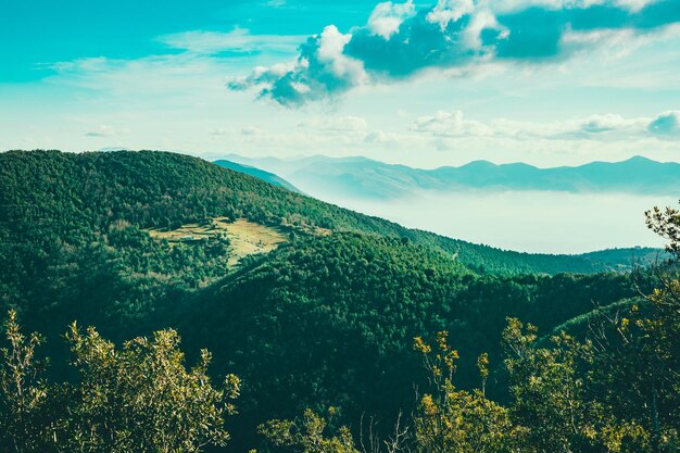 Beautiful landscape with forested mountains