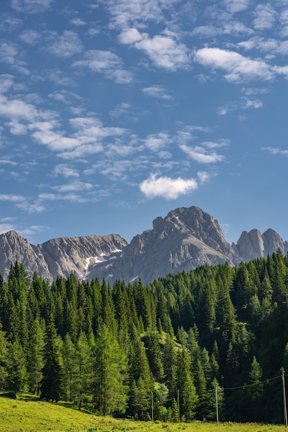 Beautiful landscape with green forest near mountain