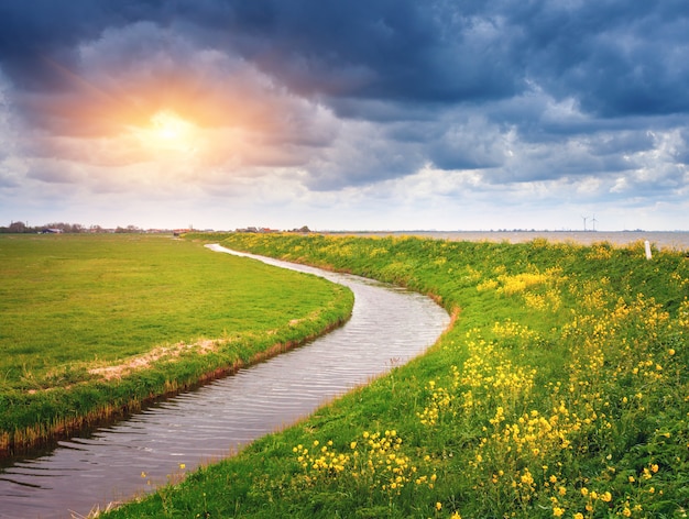 Beautiful landscape with green grass field