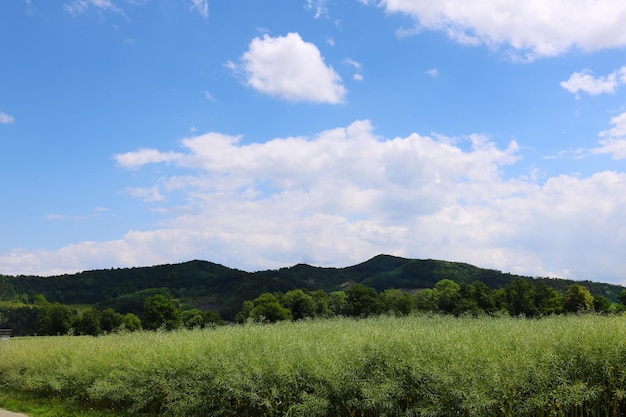 Foto bellissimo paesaggio con verdi colline e cielo nuvoloso