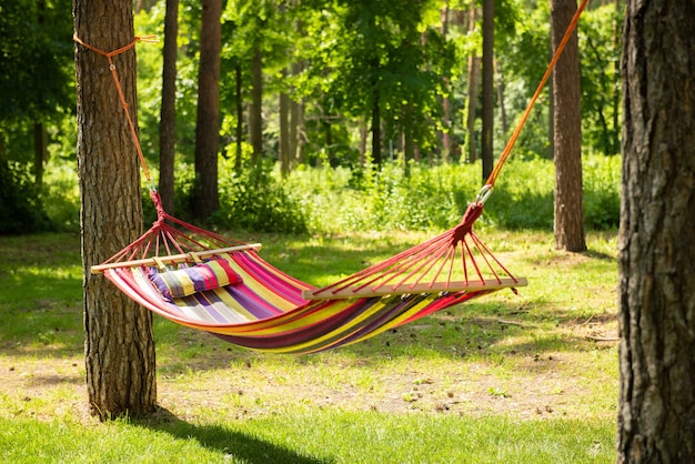 Beautiful landscape with hammock in the summer garden, sunny day. Selective focus