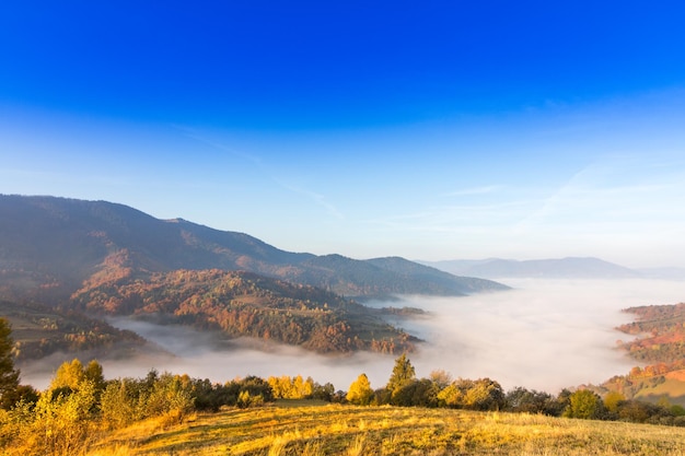 丘と山のある美しい風景