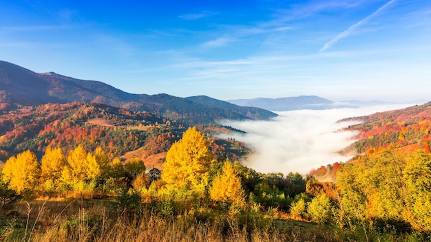 丘と山のある美しい風景