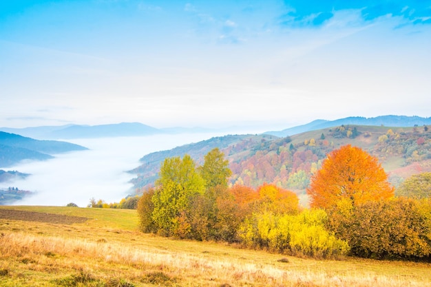 Beautiful landscape with hills and mountais