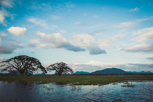 湖、木、山々のある美しい風景。青い曇り空の下で森林湖