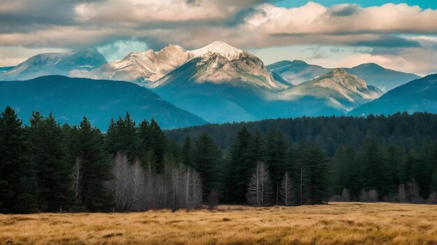 Beautiful landscape with a lot of fir trees and mountains