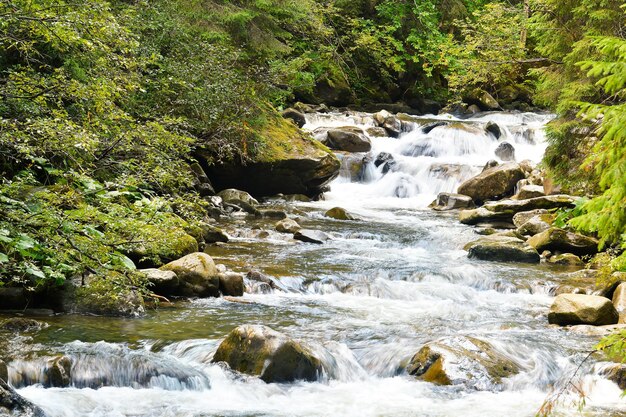 Beautiful landscape with mountain stream