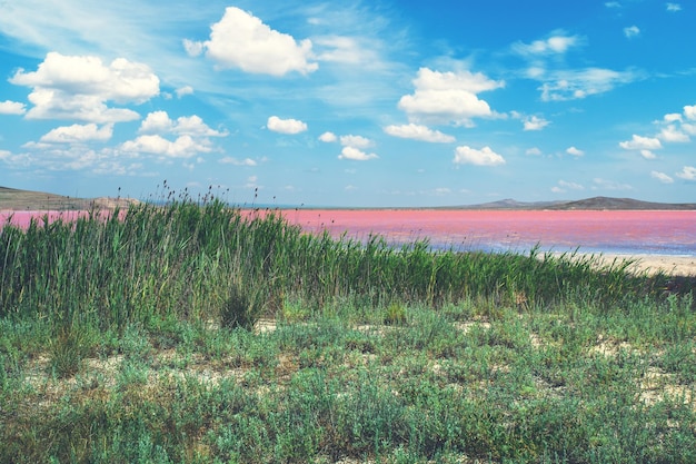 Beautiful landscape with Pink lake on a sunny day