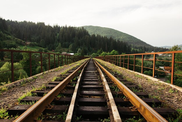Foto bellissimo paesaggio con un ponte ferroviario su uno sfondo di montagne con foreste di conifere