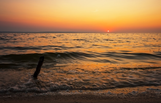 Beautiful landscape with sea, sunset and driftwood. Composition of nature