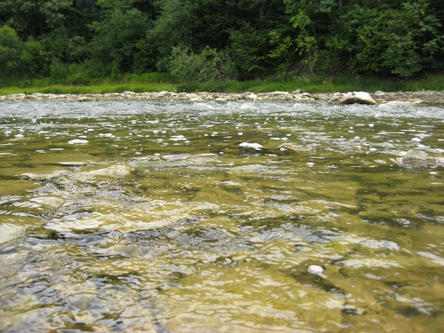 Beautiful landscape with speed water in mountainous river