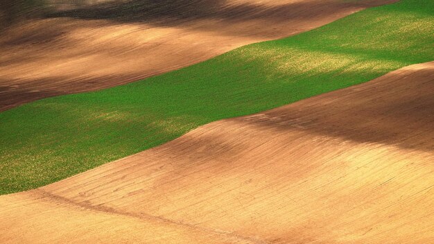 Beautiful landscape with spring nature Waves on the field South Moravia Moravian Tuscany Czech Republic Europe