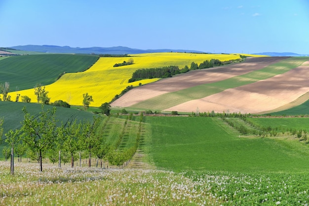 Beautiful landscape with spring nature Waves on the field South Moravia Moravian Tuscany Czech Republic Europe