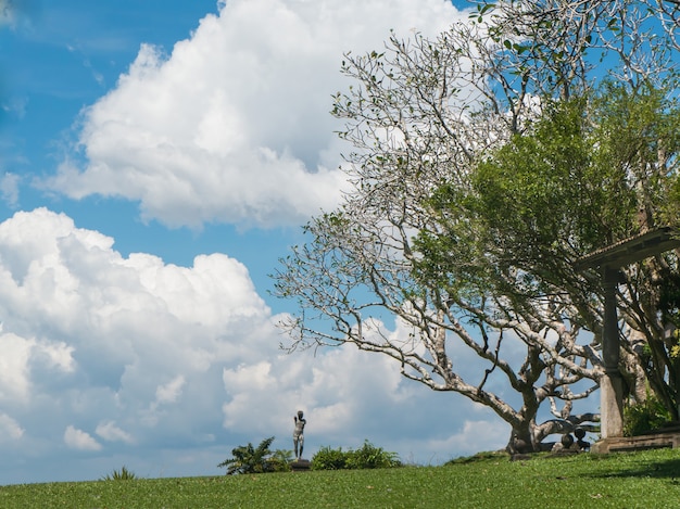 Bellissimo paesaggio con una statua di un albero e un prato