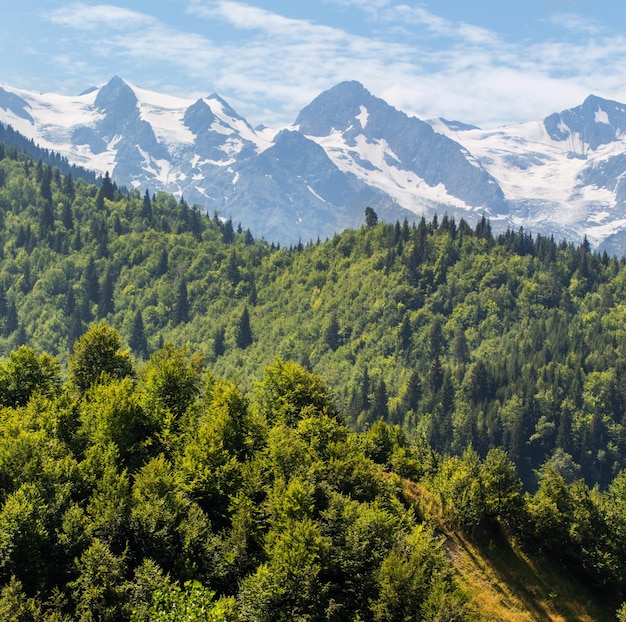 日光の下で夏の山々 と美しい風景