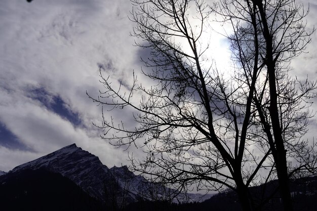 TREEと山々のある美しい風景