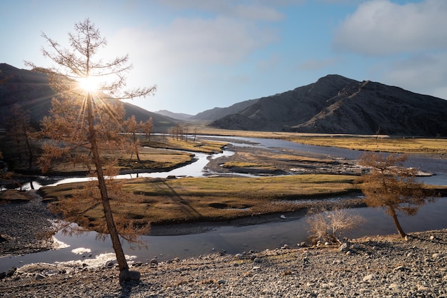 Beautiful landscape with trees stream and mountains in Western Mongolia