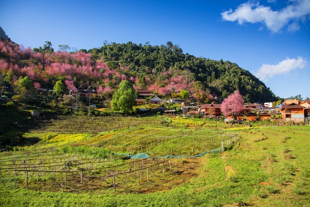 Foto bello paesaggio con il villaggio nella priorità bassa della valle, del terreno coltivabile e del cielo blu in tailandia