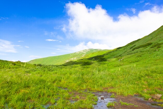 美しい風景